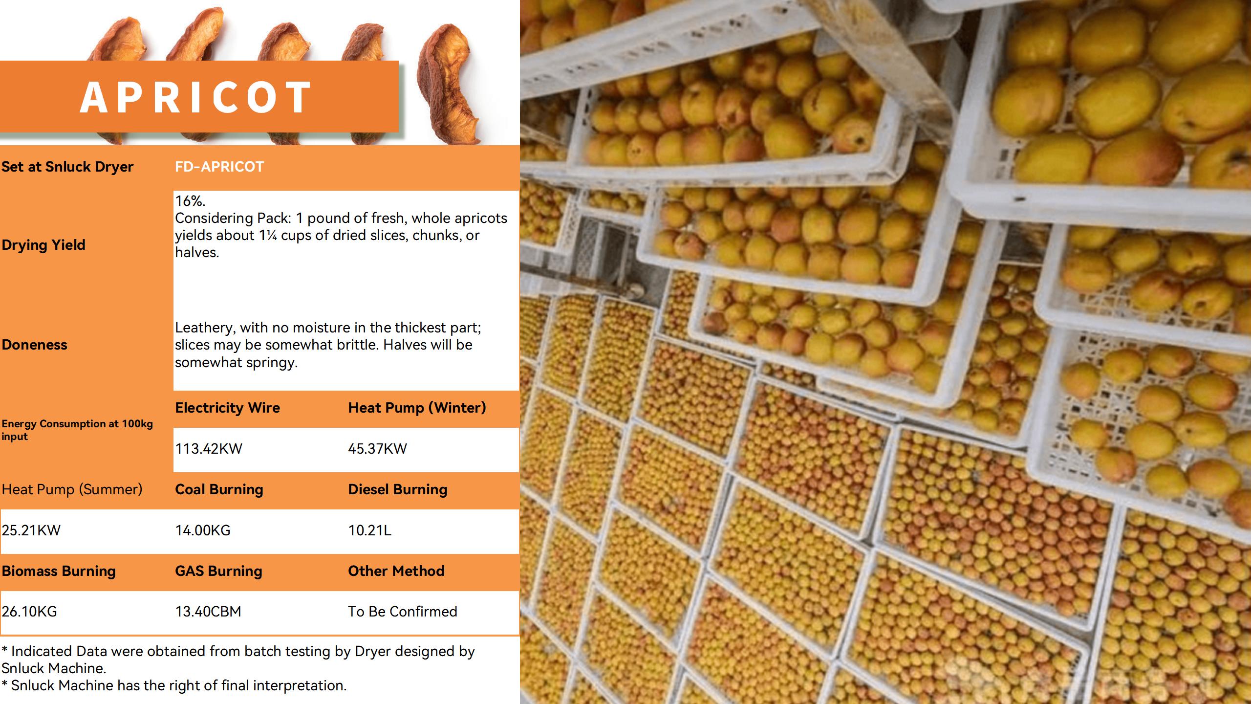 Apricot Drying Project Snluck Industry