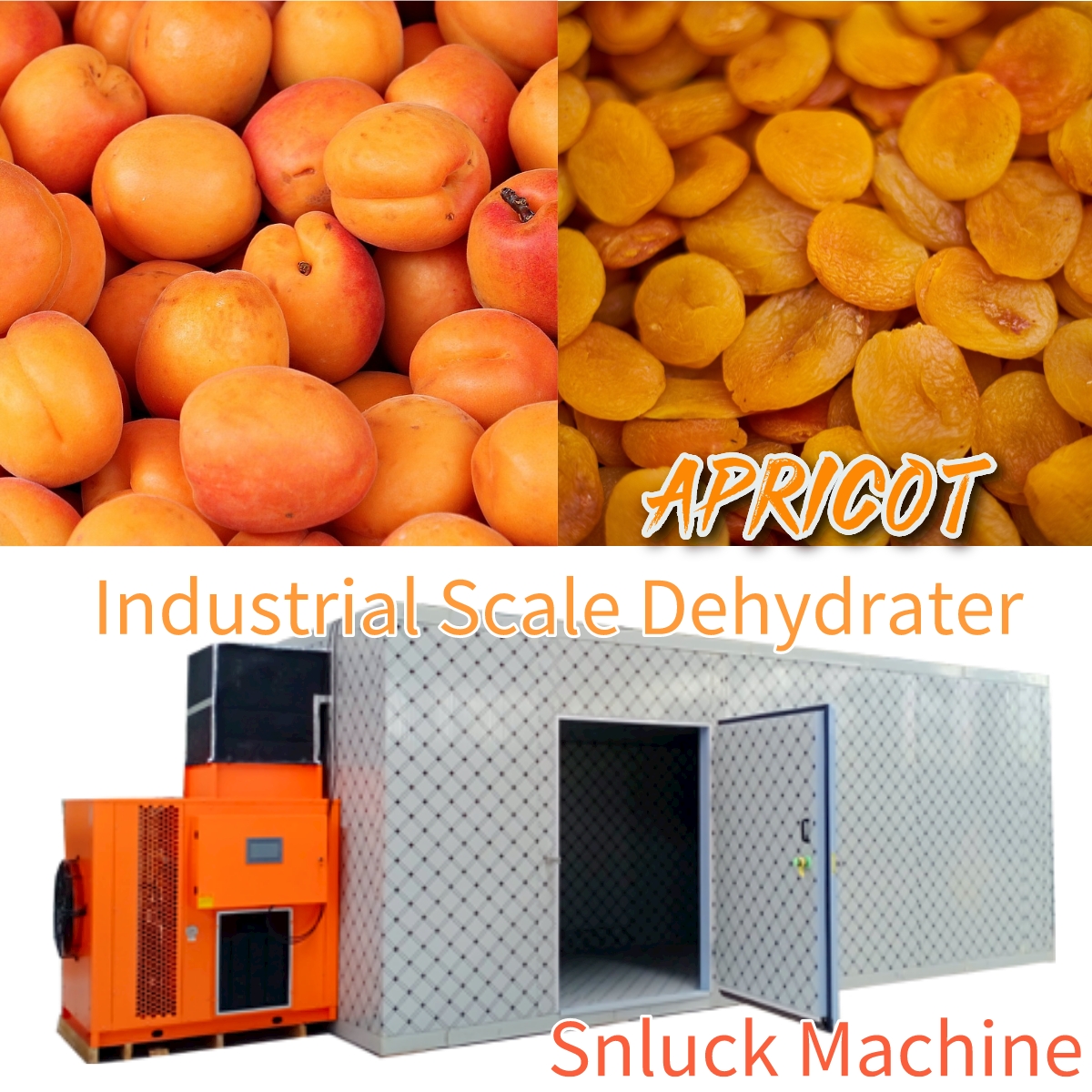 Apricot Dehydration Project: 3 tons per day (24hr)