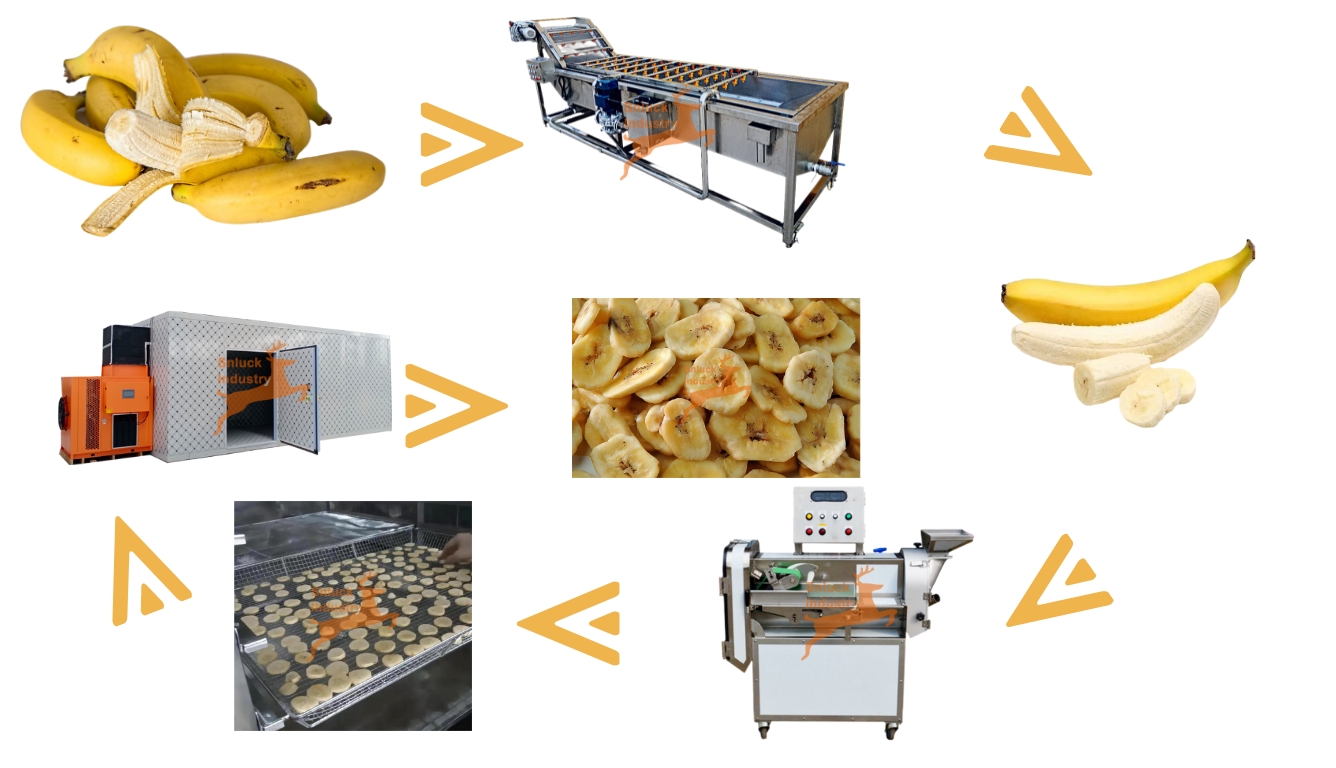 Banana Drying Line Snluck Industry