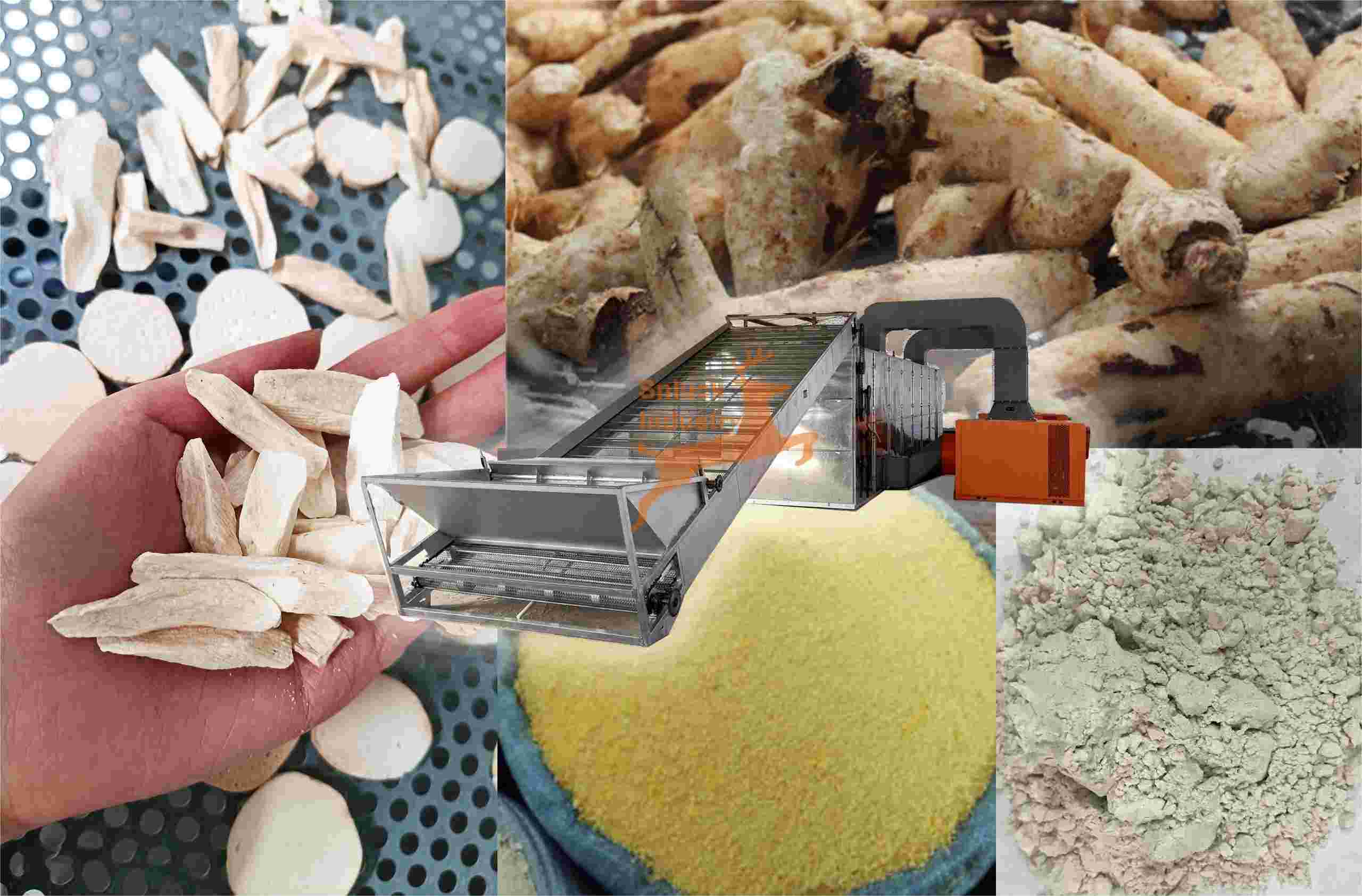 cassava dehydrator & food