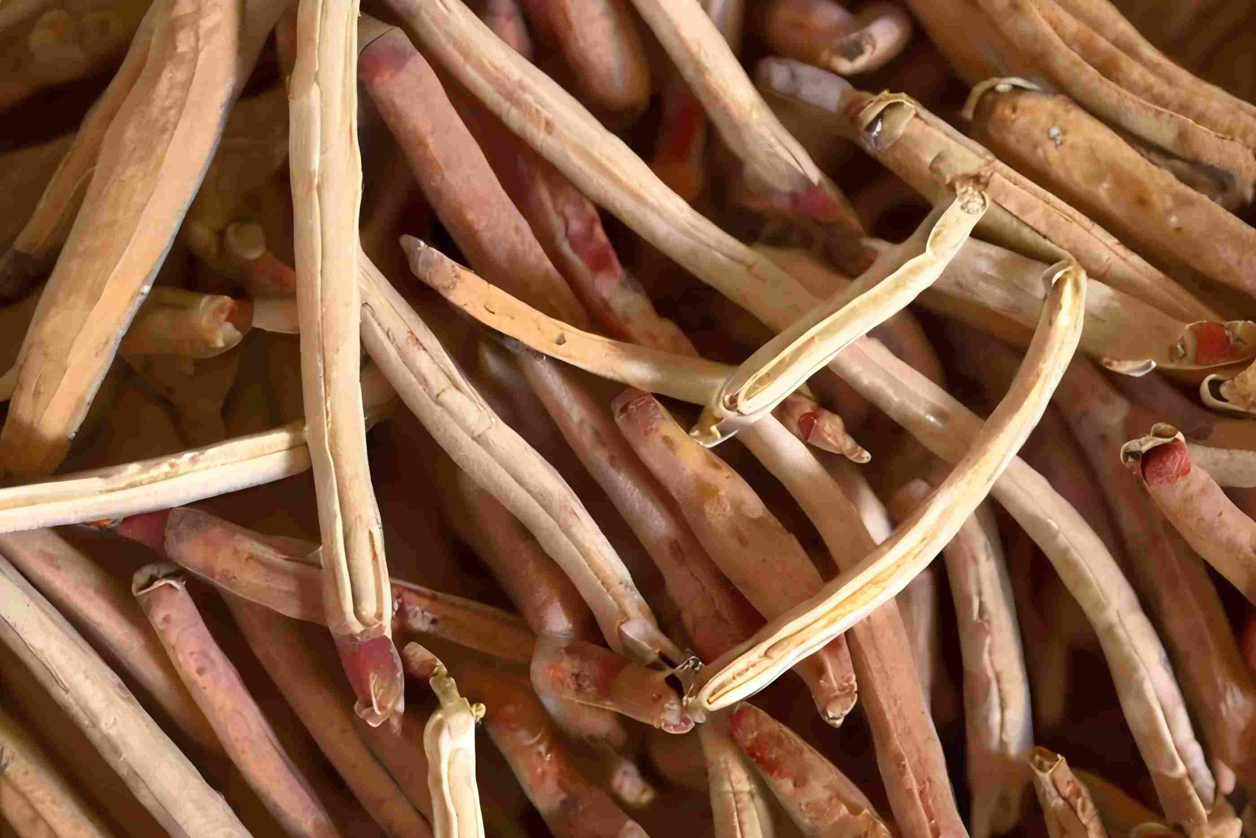 Ashwagandha dryer - SnLuck