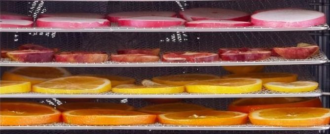 Fruits dryer - SnLuck