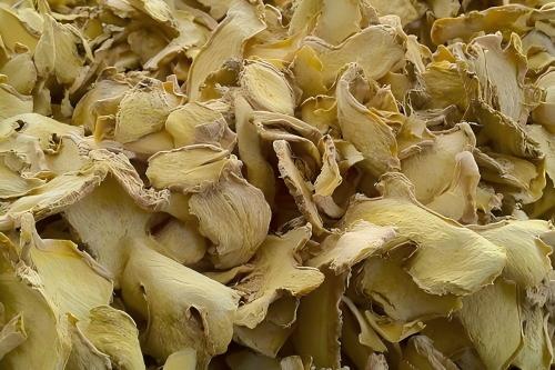 Ginger drying machine - SnLuck