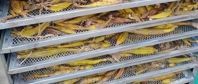 Vegetable dryer machine - SnLuck