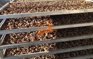 herb drying machine - SnLuck (1)