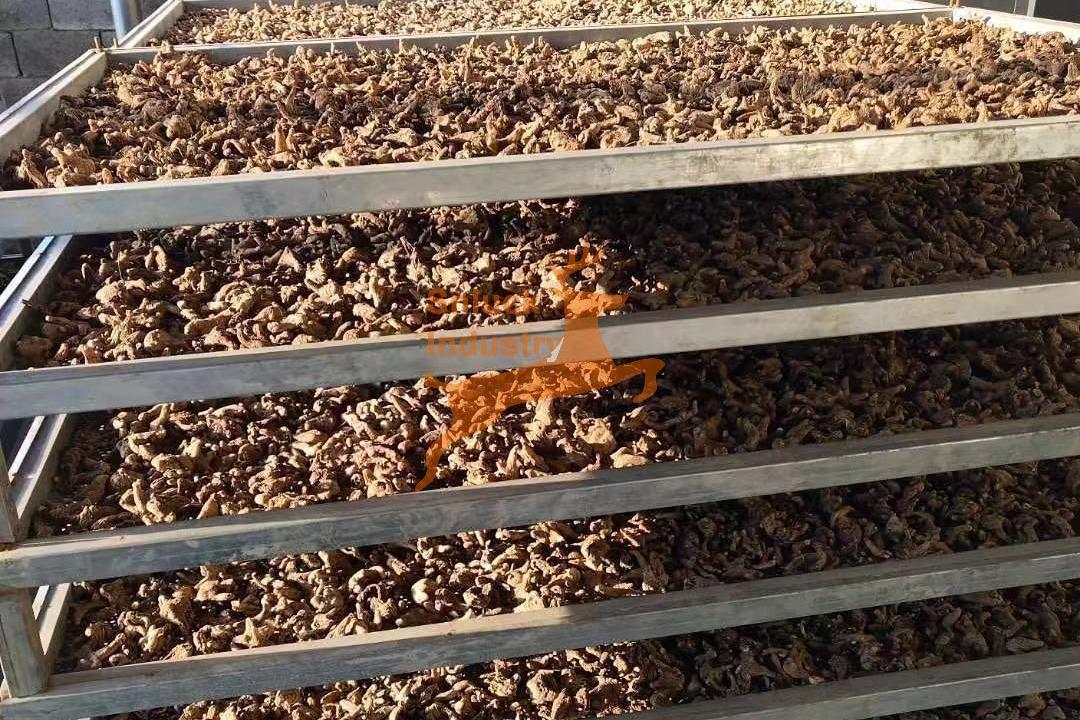 herb drying machine - SnLuck (1)