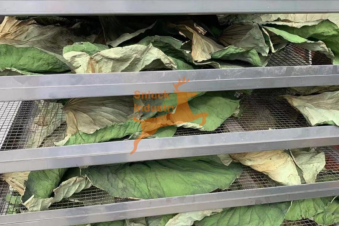 herb drying machine - SnLuck (1)