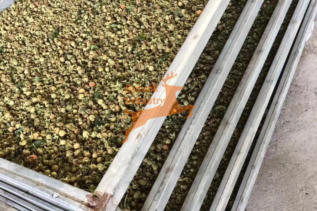 herb drying machine - SnLuck (1)