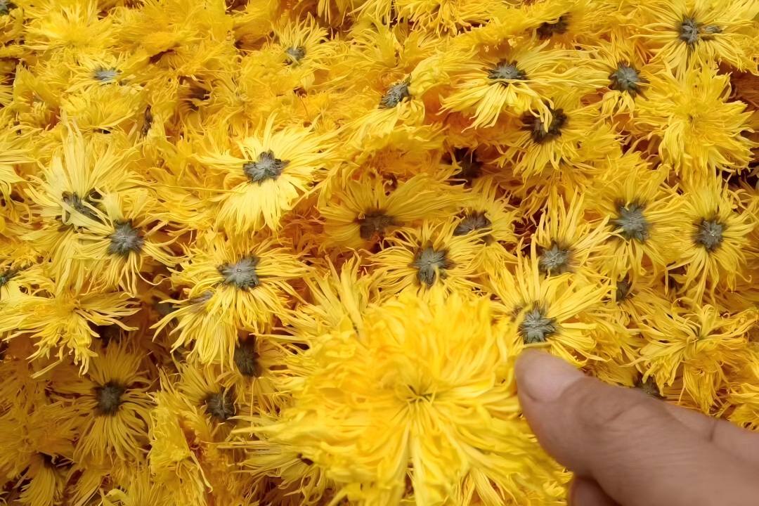 petal drying machine - SnLuck
