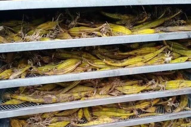 Multiple Vegetable Dehydrating Process Line – No Breakage – Color Resistance – Less Consumption