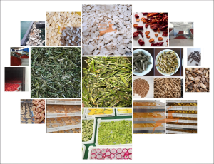 Multiple Drying Produce Gallery - SnLuck