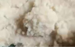 Cassava Puree - SnLuck
