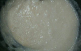 Cassava puree slurry - SnLuck