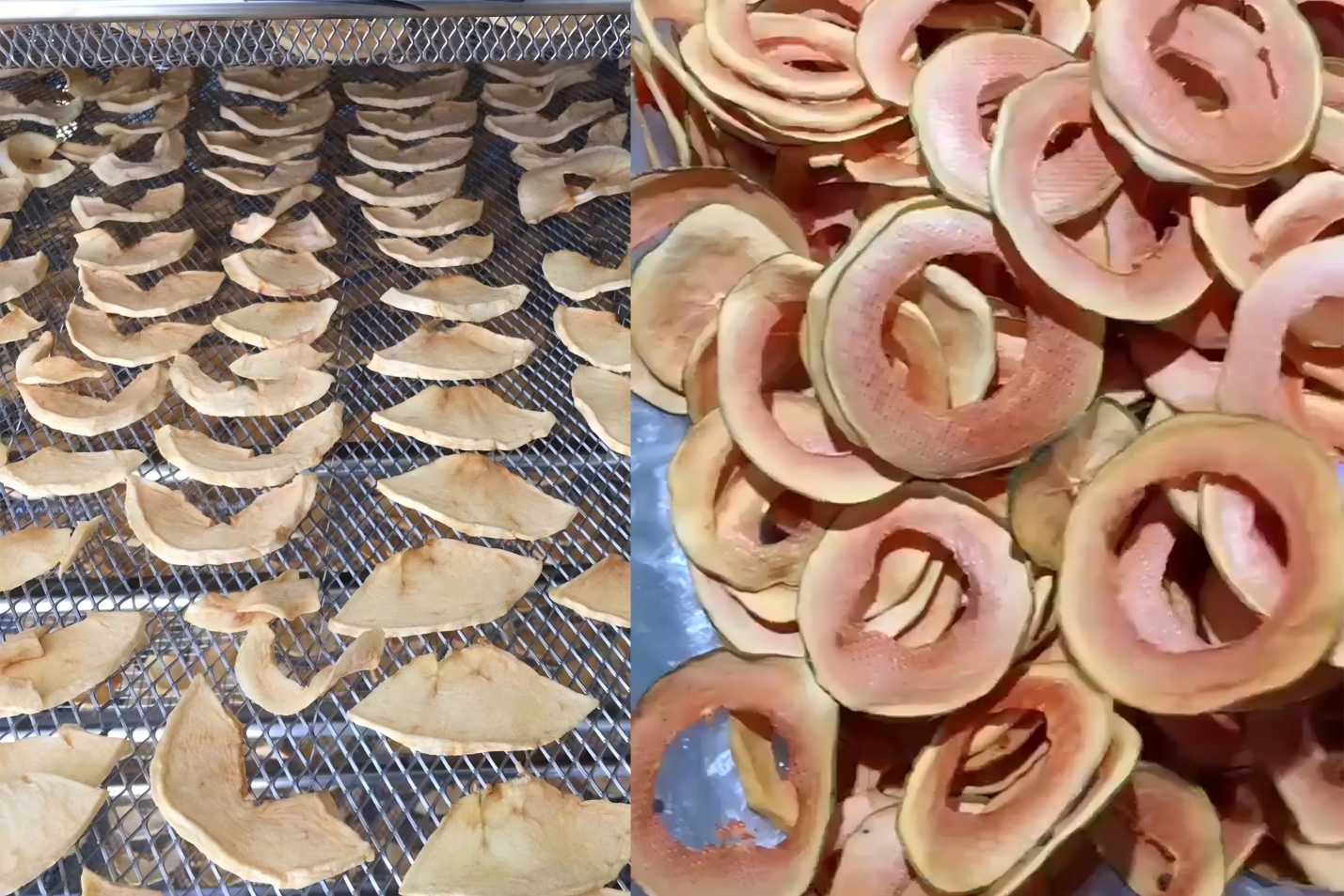 apple chip & chunks on tray SnLuck(1)