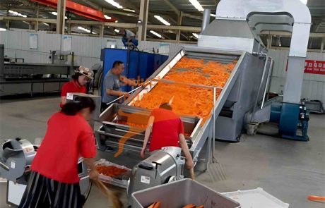 continuous belt dryer - SnLuck