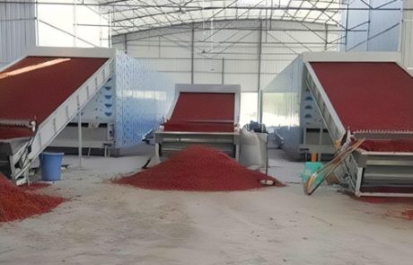 Continuous chili pepper drying machine - SnLuck