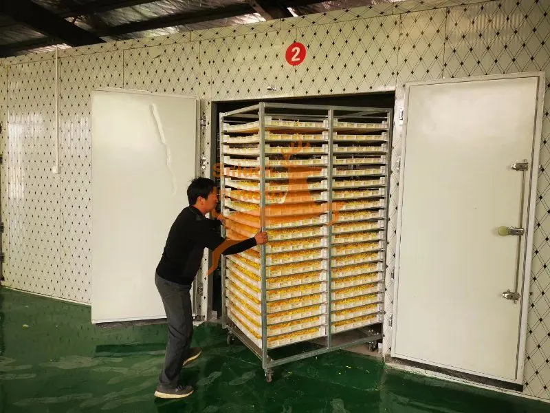 Batch Tray Dehydrator