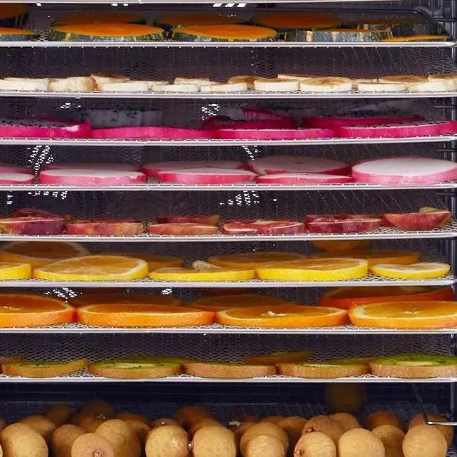Multiple Fruits Dehydrating Process Line – No Brown – No Breakage – Color Resistance