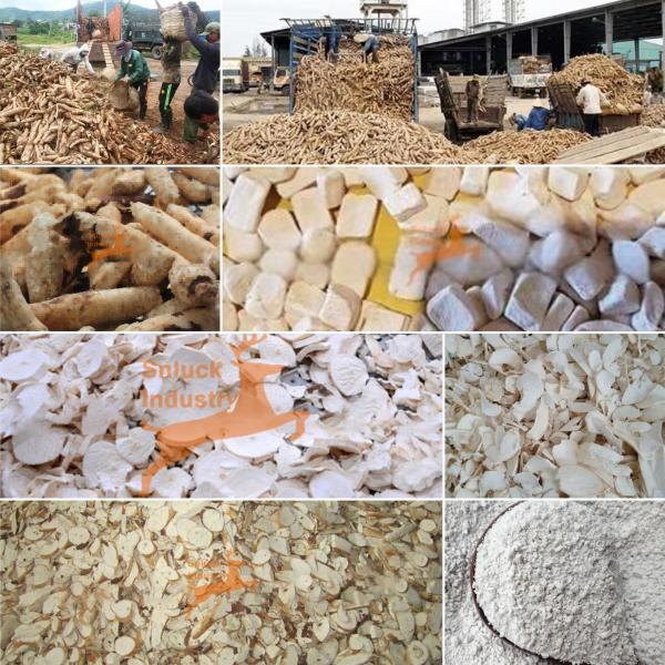 100Kg/Hr Cassava Chips Continuous Dehydrating Process Line – 30% Energy Reduce – 1 Labor Operation