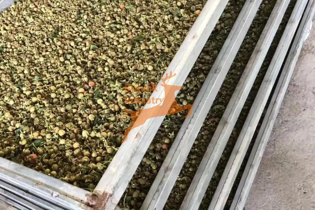 herb drying machine - SnLuck (4)