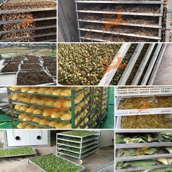 Holding Active Compounds Dry: EU-Certified Herb Drying