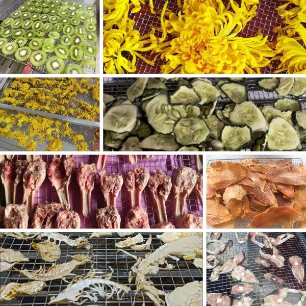 Holding Active Compounds Dry: EU-Certified Herb Drying